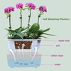 5 Pack Rectangular Planter 11.8 x 4.6 in Self Watering
