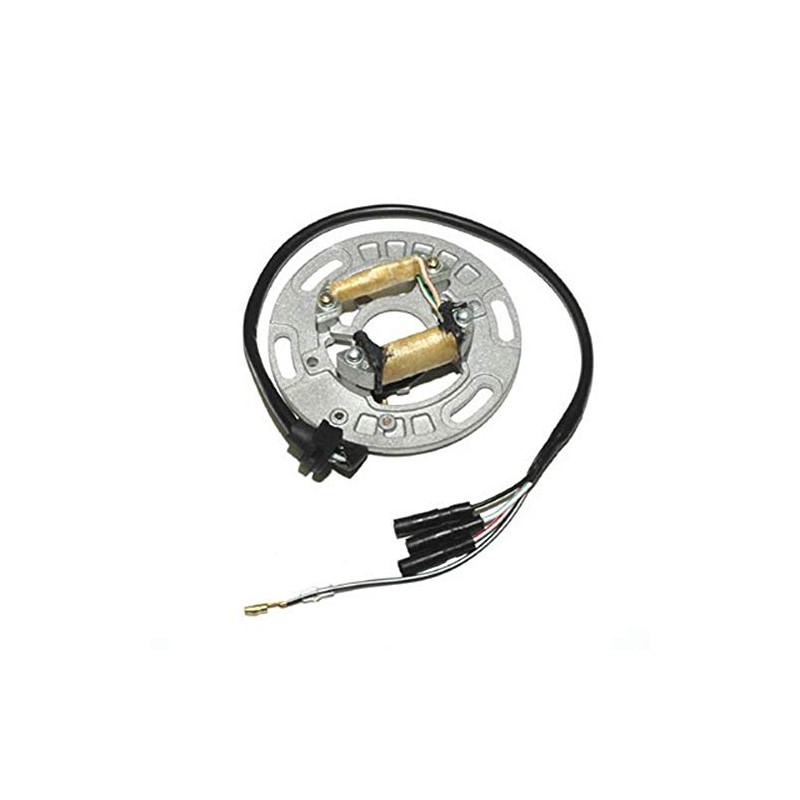 ElectroSport ESC1151 Stator Kawasaki KX250