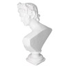 Nordic Style Character Figurine Bust Statue Craft Ornament for Desktop