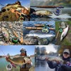 Maimumcatch Fly Fishing Line, Floating Fly Line and Fly Line