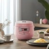 Panasonic JOYOUNG Mini Rice Cooker JYF-20FS987M With timing Multifunction 2L