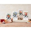 96° Indian Chai - 20 Pyramid Tea Bags, Individually Wrapped,