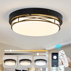 Ofenrd Modern LED Flush Mount Ceiling Light Fixture Dimmable Ceiling Lamp with Remote Control Black Overhead Light Fixture for Kitchen Bedroom Hallway Bathroom Farmhouse Hall Entryway