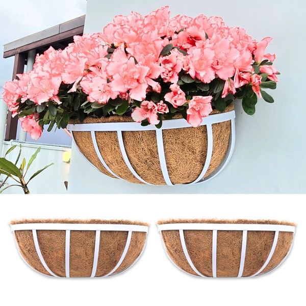 LaLaGreen Window Planter Box (2 Pack, 16 Inch) White Metal