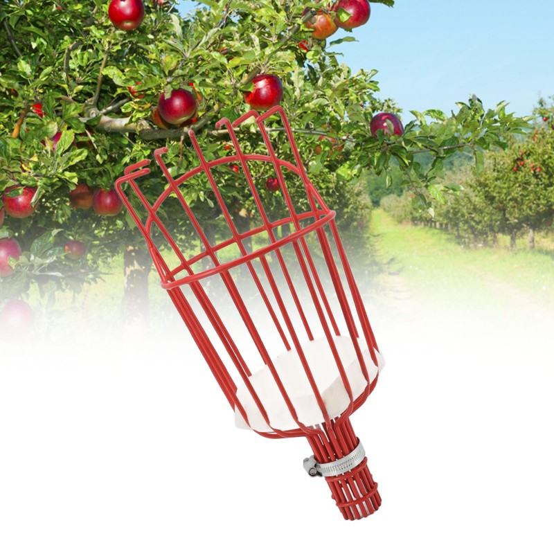 Fruit Picker Basket Iron Fruits Harvester Basket with Cushioned Foam