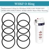 W10-PR W10-OR Lid O-Ring for Water Filter Housings, 8 Pack