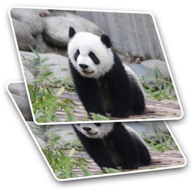 Rectangle Stickers (Set of 2) 10cm - Baby Panda Bear China Fun Decals for Laptops,Tablets,Luggage,Scrap Booking,Fridges, 21174