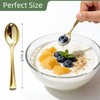 Pryntono 120PCS Gold Plastic Mini Spoons Disposable 4 inch Tasting