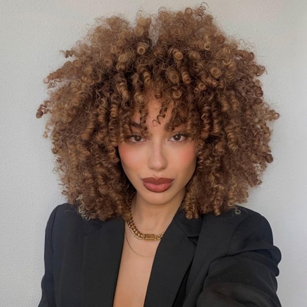Becus Afro Wig for Black Women, 25.4 cm, Soft Curly Afro Wigs with Fringe, Synthetic Short Curly Wigs for Women, Daily Use and Cosplay (Brown)
