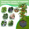 Sumloty 2 Pack Raised Garden Bed Planter Box with Trellis,
