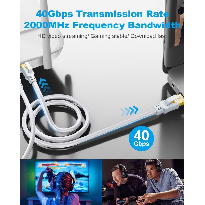 CAT8 cable.
