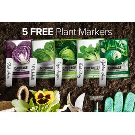 Gardeners Basics, Cabbage Seeds for Planting 5 Individual Packets Bok Choy, Michihili (Napa) Chinese Cabbage, Red, Golden Acre and Copenhagen Market Early for Your Non GMO Heirloom Vegetable Garden