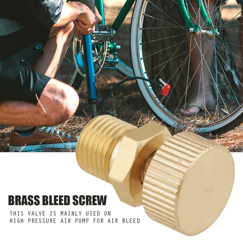 1 Piece Brass Bleed Valve Screw High Pressure Electric Pump