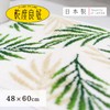 oka Bathroom Foot Wipe Matte White Approximately/48 cm X/60 cm