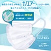 Iris Ohyama PK-DNI30L Non-Woven Pleated Mask, Made in Japan, 30