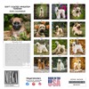 2024 2025 Softcoat Wheaten Terrier Calendar - Dog Breed Monthly