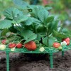 Namvo 6Pcs Strawberry Frame Stand, Plant Support Holder Planting Rack