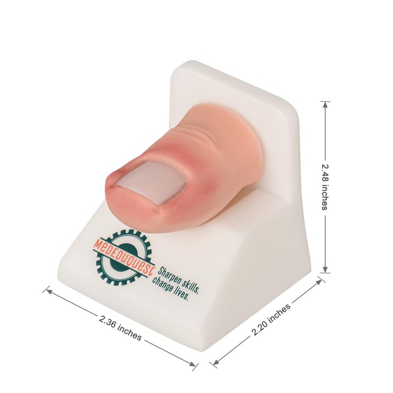 MedEduQuest Ingrown Toenail Trainer Kit with Base,Ingrown Toenail Simulator for