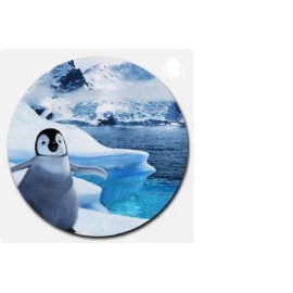 Fashion Jewelry Ideal PENGUIN ANIMAL ICE Pendant on Plate 925 Silver 20" 22" Necklace Gift Boxed