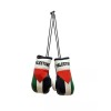 Mini Palestine Boxing Glove / Palestine Flag / Palestine Boxing
