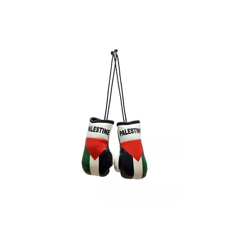 Mini Palestine Boxing Glove / Palestine Flag / Palestine Boxing