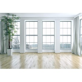 Yeele 10x6.5ft Custom Empty Room Backdrop French Windows Living Room Plants Wooden Floor Photos Backdrop for Photography Modern Interior Room Home House Office Decor Video Conferencing Banner