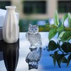 Ornalrist Crystal Clear Owl Collectible Figurines, Birthday Christmas Cute Owl