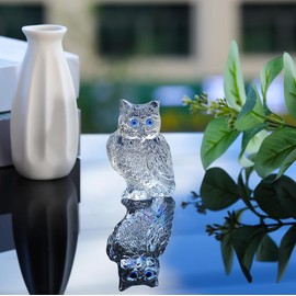Ornalrist Crystal Clear Owl Collectible Figurines, Birthday Christmas Cute Owl Gifts for Women Children Crystal Ornament for Home Office