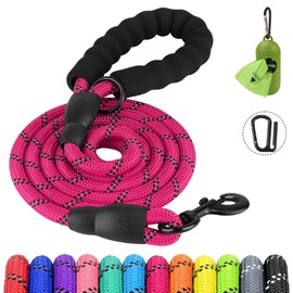 Joytale Reflective Dog Leash, Heavy Duty Nylon Rope with Poop Bag Holder, Highly Reflective Threads Leashes for Small Dogs, Hotpink, 6'×3/8''