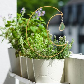 belupai 2PCS Small Moon Plant Trellis, Metal Mini Hoya Support for Indoor Potted Houseplants, Plants Climbing Holder Rack with 40 Zip Ties for Potted Plants Flowers Indoor