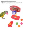 4pcs Bird Training Toys Interactive Fun Basketball Skateboard Trolley Parrot