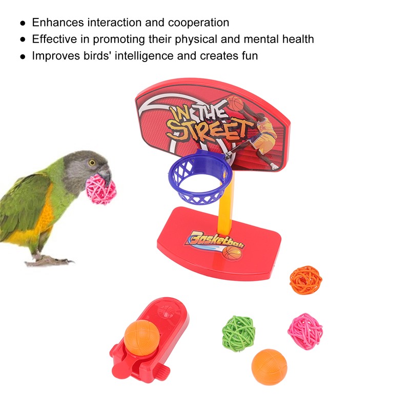 4pcs Bird Training Toys Interactive Fun Basketball Skateboard Trolley Parrot