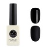 Facet gel nail polish color, real black, 1 piece, 10ml / 파셋 젤 네일 폴리쉬 컬러, 리얼블랙, 1개, 10ml