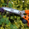 Siena Garden 313241 Garden Shears, Flower Shears, Rose Shears