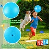 Jenaai 18 Pcs Sports Kickball Set includes Playground Ball 5