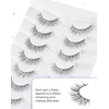 Natural Lashes Natural Eyelashes Natural Look Wispy Lashes Mink Lashes