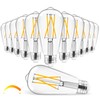 Hizashi Vintage LED Edison Bulb Dimmable, 6W Equivalent 60W, 2700k