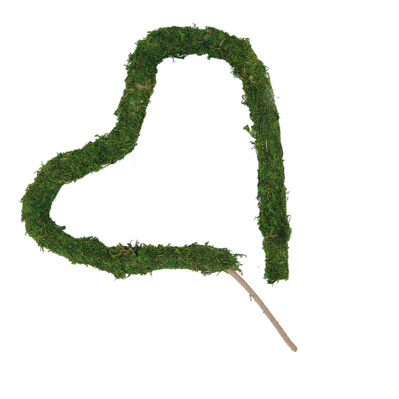 Natural Moss Pole Bendable Moss Plant Rod Plant Climbing Gardening