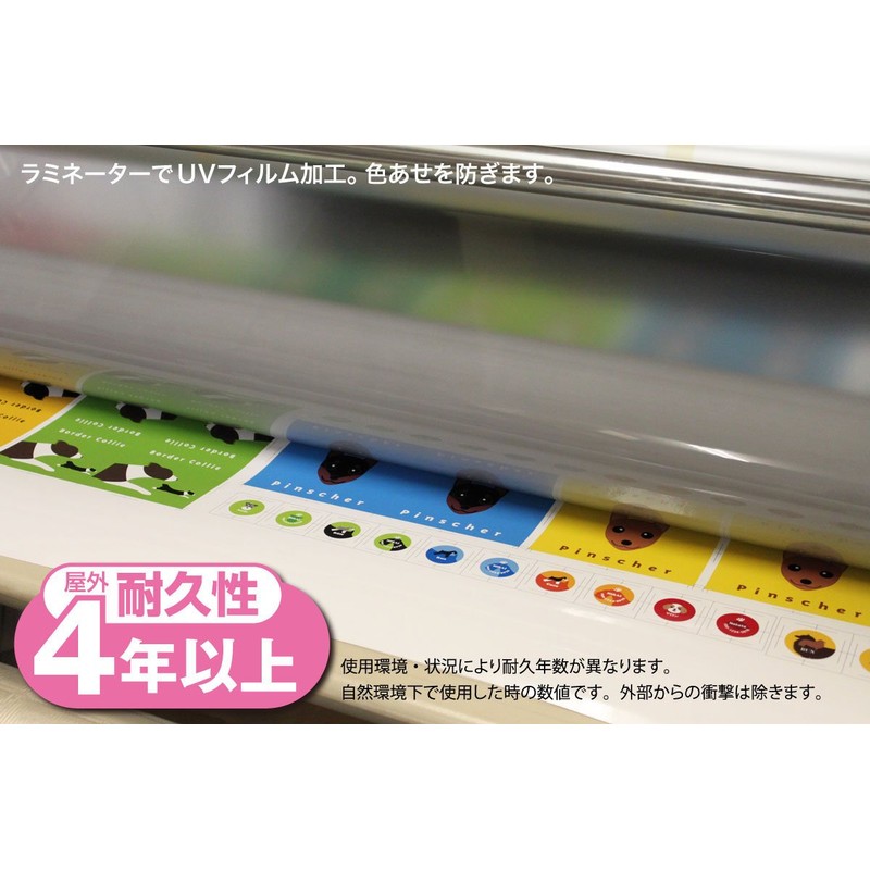 To Chihuahua Long Black Tan & White Dog Sticker Pink