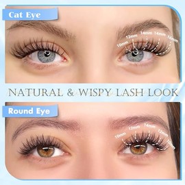 Natural Lash Clusters Wispy Eyelash Clusters, Eyelash Extensions C Curl Individual Lashes, Mix Length Natural Look Lashes with Thin Lash Band, 10-16mm, 110 pcs