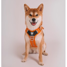 Foxys® CountryFox™ Pro Ergonomic Dog Harness, Heavy Duty, Padded, Lightweight and Adjustable (Orange, Medium)