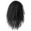 Freetress Equal Drawstring Fullcap Half Wig Milan Girl - 1B