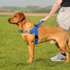 Annchwool No Pull Dog Harness with Soft Padded Handle,Reflective Strip