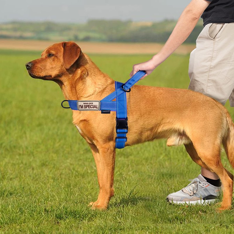 Annchwool No Pull Dog Harness with Soft Padded Handle,Reflective Strip