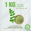 Moringa Hoja en Polvo 100% Pura | Calidad Premium, 1kg