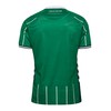 hummel SV Werder Bremen Home Jersey 2025/2026 Green, M Men