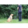 Activity4Dogs Non-Slip Nylon Dog Lead, Non-Slip, 2.80 m Long, 4-Way