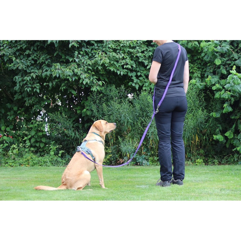 Activity4Dogs Non-Slip Nylon Dog Lead, Non-Slip, 2.80 m Long, 4-Way