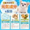 PETLINKMORE Dog Lactic Acid Bacteria Supplement for Dogs, Intestinal Activity,