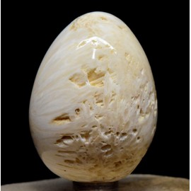 2.3" 130g White Orange Scolecite Sprays Carved into Egg Polished Natural Zeolite Gemstone Druzy Crystal Mineral UV Reactive Specimen - India + Stand